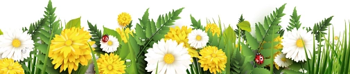 Beetpatenschaft Blumen Beetpatenschaft Blumen © Adobe Stock